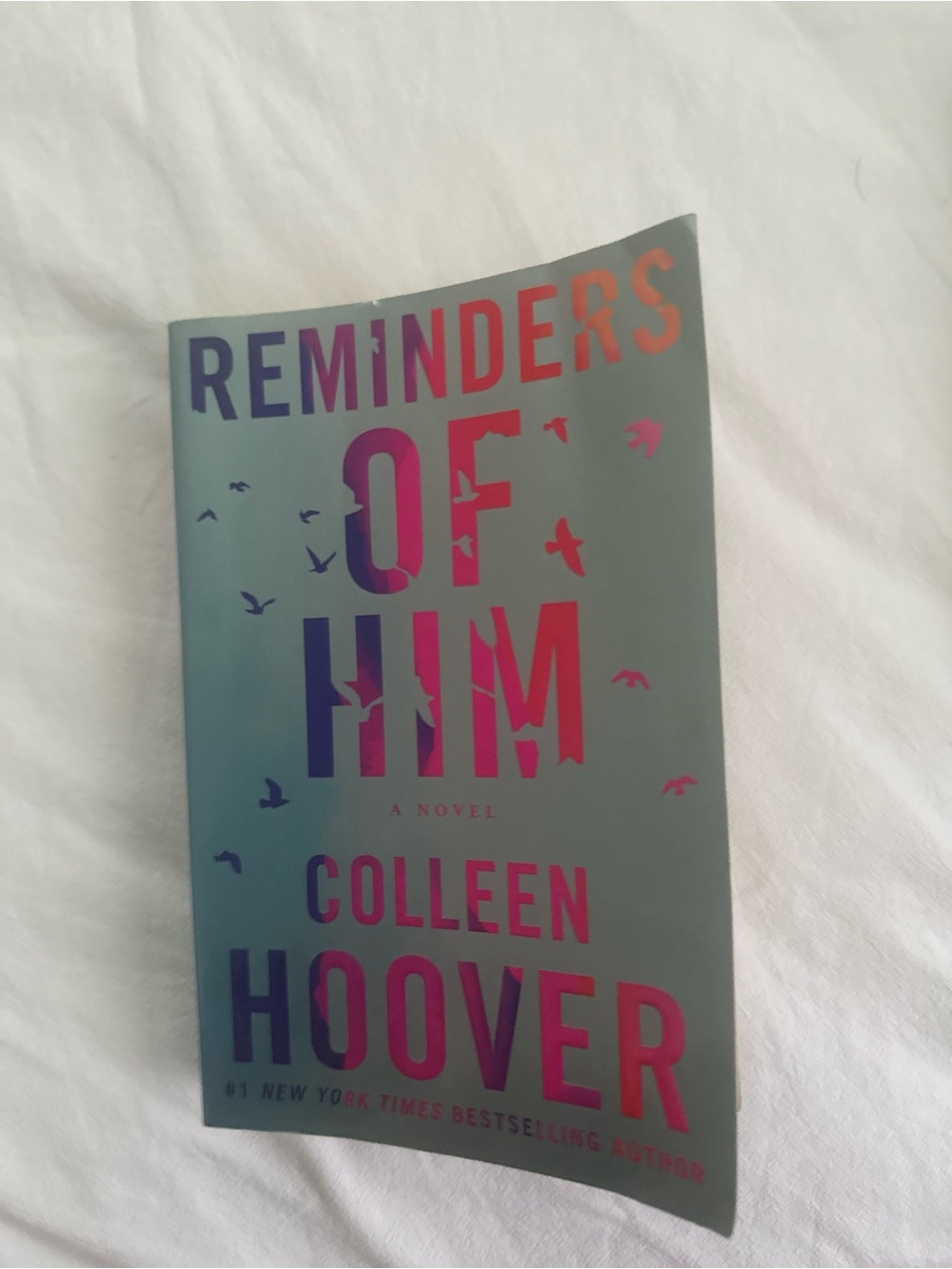 Reminders of Him by Colleen Hoover - Teal & Pink Paperback